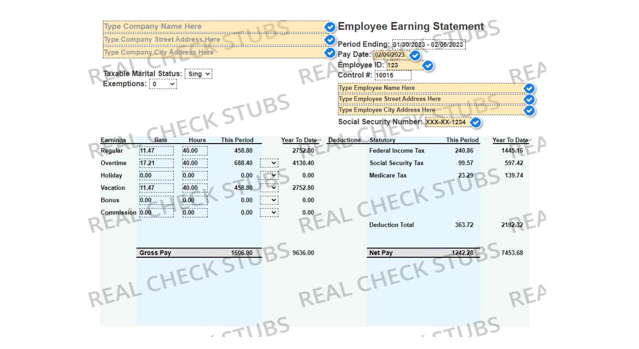 Advanced Paycheck Stub Template 1